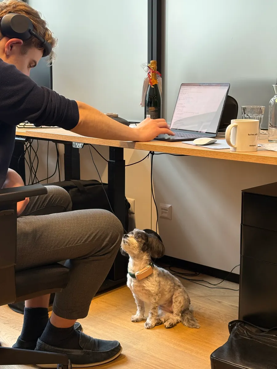 Fourty sitting on the floor under a desk, looking up at a man working on a laptop